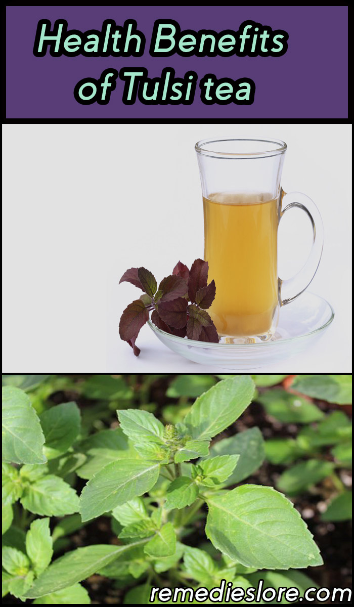 health benefits of tulsi tea