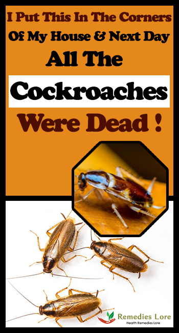 I Put This In The Corners Of My House And The Next Day All The Cockroaches Were Dead!