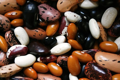 beans for antioxidants - Copy