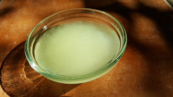 coconut oil for lice
