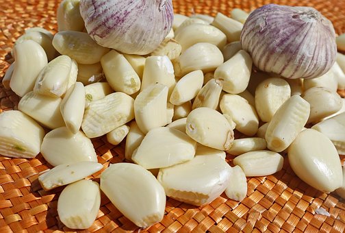 garlic for antioxidant