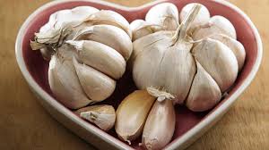 garlic for lice