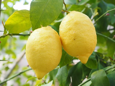 lemon for antioxidant