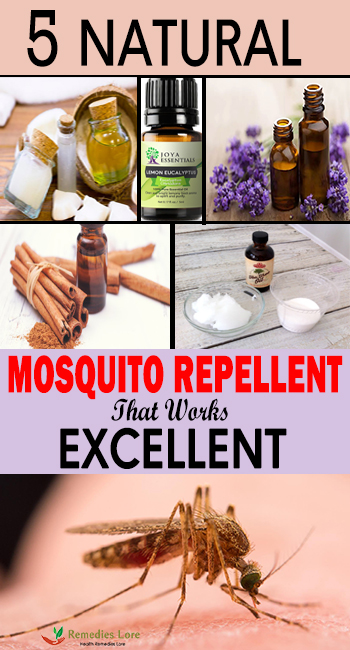 5 Natural Mosquito Repellent That Works Excellent
