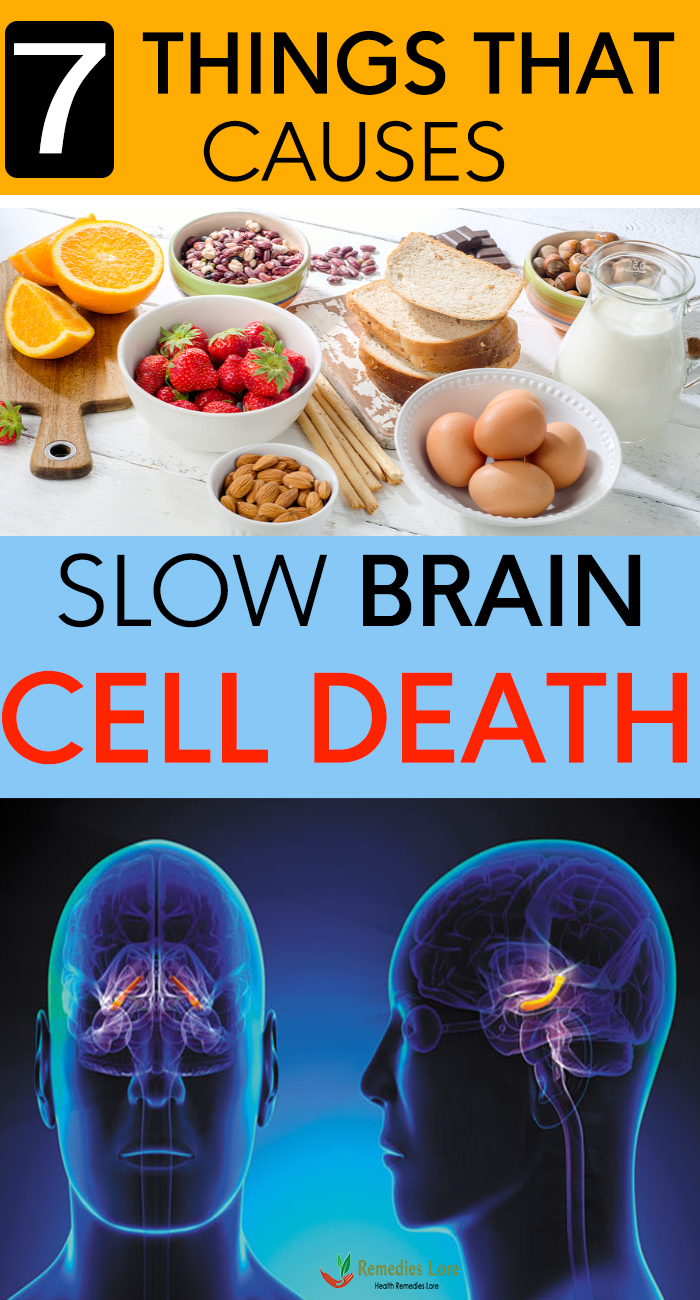 7 Things That Causes Slow Brain Cell Death