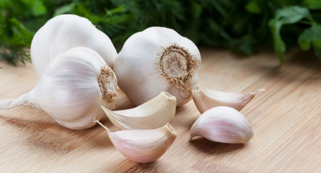 garlic