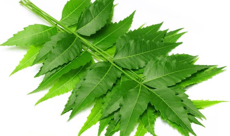 Health-benefits-of-neem-leaves-759x450