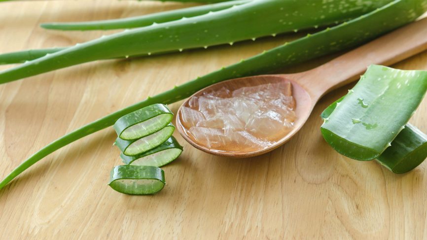 What-to-keep-in-mind-when-shopping-for-pure-aloe-vera-gel-866x487