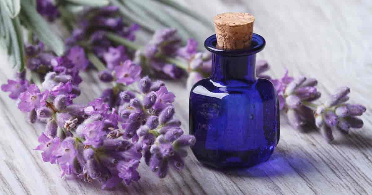 lavender-essential-oil-09302017-min