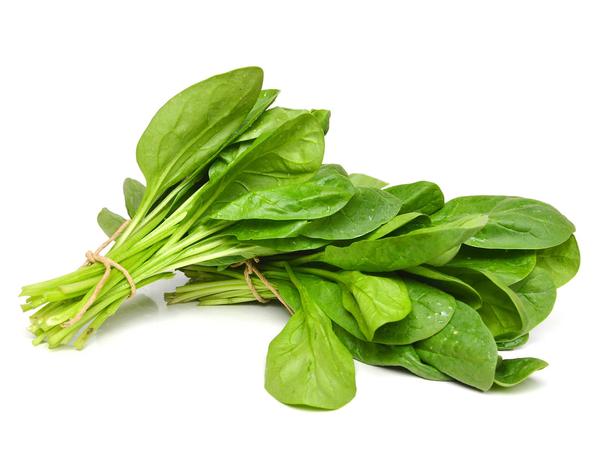 Spinach-All-Green_600x600