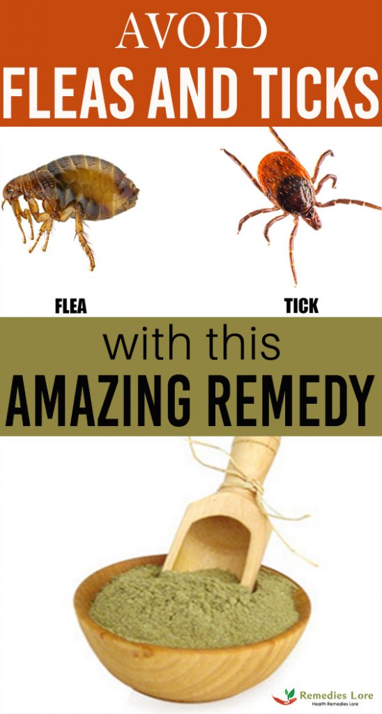 Avoid fleas and ticks with this amazing remedy