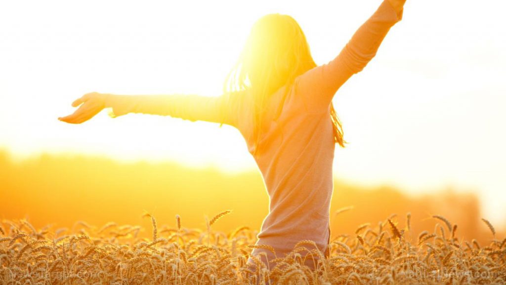 Sun-Healthy-Field-Sunlight-Happy-Nature-Wellbeing