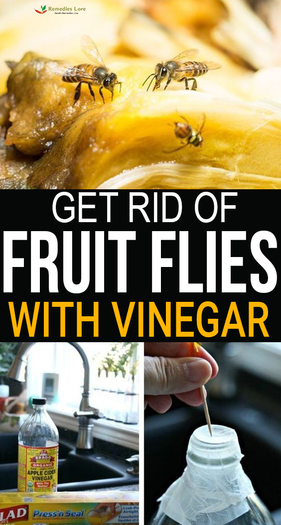 Get Rid of Fruit Flies with Vinegar