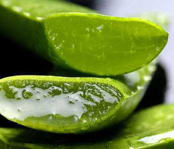 How to Make Your Own Aloe Vera Gel